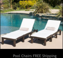 Pool Chairs FREE Shipping