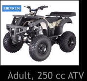 Adult, 250 cc ATV
