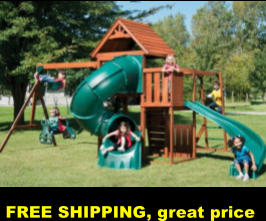 FREE SHIPPING, great price