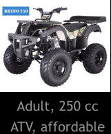 Adult, 250 cc ATV, affordable