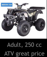 Adult, 250 cc ATV great price